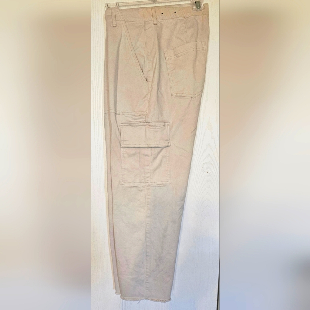 Hollister Cargo Pants